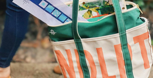 Wheelhaus Needlepoint — Needlepoint designs for the grand millennial